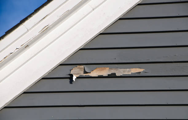 Best Garage Cleanout  in Magnolia, NC